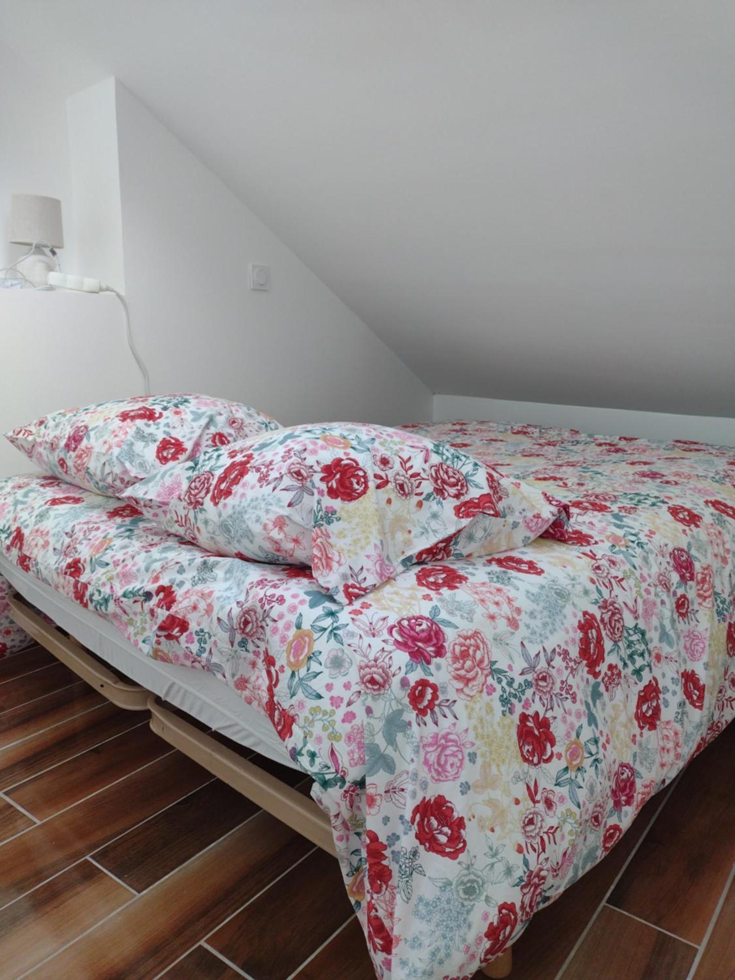 Les Gites Du Lauzon Montsegur-sur-Lauzon Room photo
